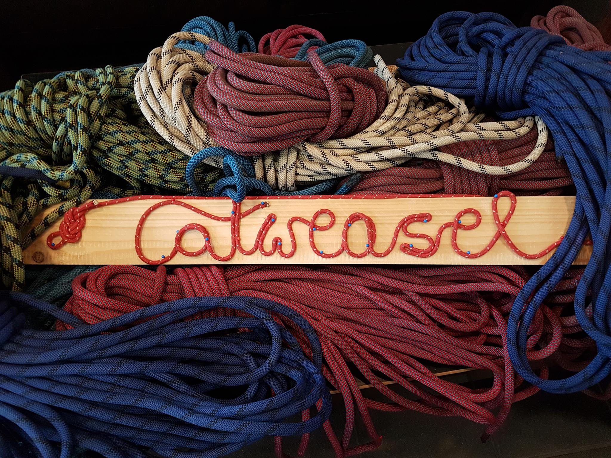 Catweasel logo-seil
